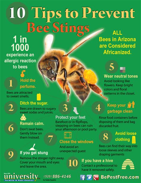 How To Prevent Bee Stings