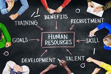 Human Resources and Training Careers