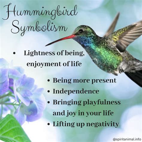 Symbolism of the hummingbird