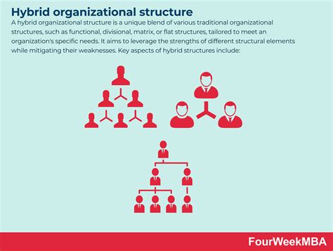 Hybrid Organizational Structure