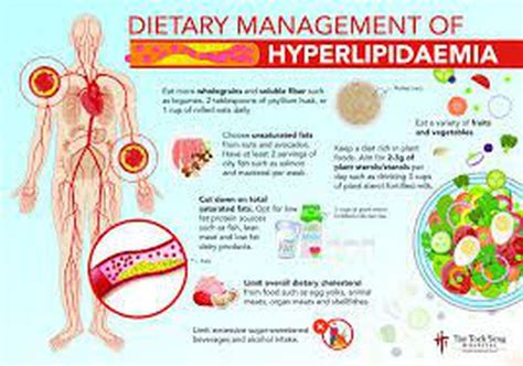 Hyperlipidemia Management Heart Health