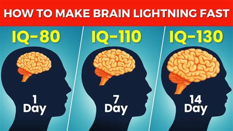 IQ Improvement Tips