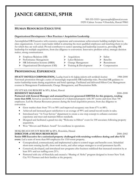 IT Executive Resume Template in Microsoft Word