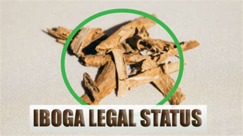 Iboga Legal Status