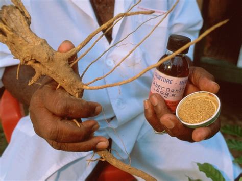 Iboga Ritual