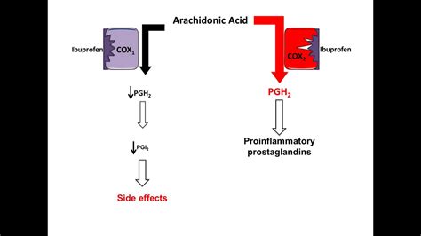 Ibuprofen Mechanism of Action