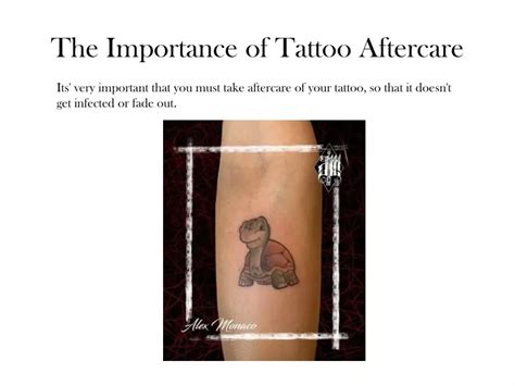 Description of Importance Of Tattoo Aftercare