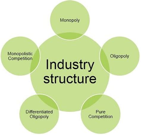 Industry Structure