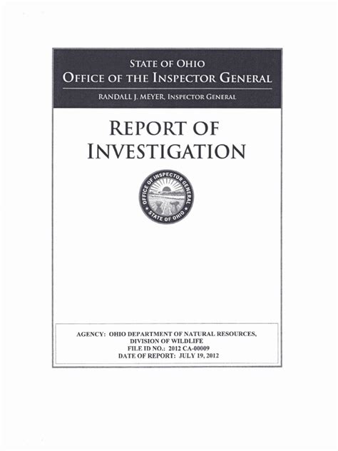 Inspector General Report