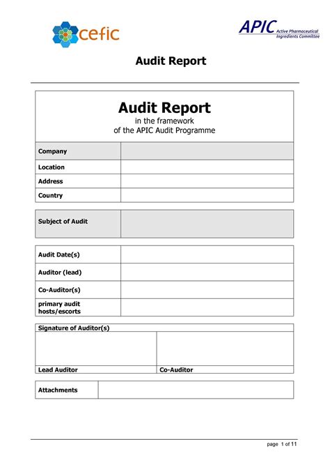 Internal Audit Report