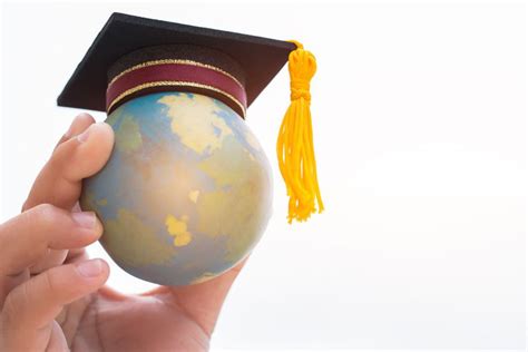 International Business Degrees