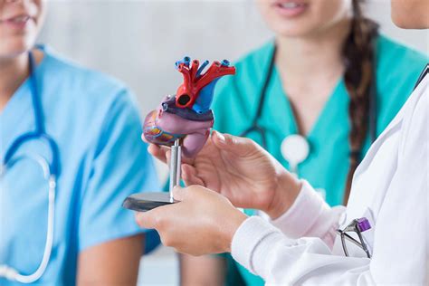 Introduction to Cardiovascular Services