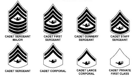 JROTC Marine Corps Ranks Structure Image 1