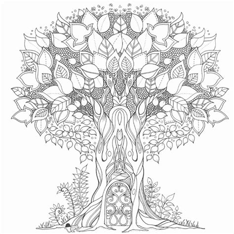 Johanna Basford Coloring Pages Enchanted Forest