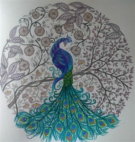 Johanna Basford Coloring Pages Peacock