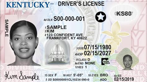 Kentucky Drivers License Application