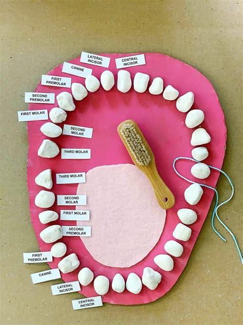 Kids Learning About Teeth