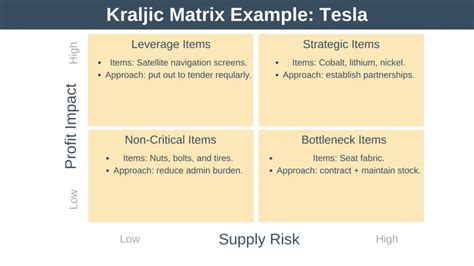 Kraljic Matrix Example 6