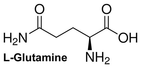 L-Glutamine amino acid structure