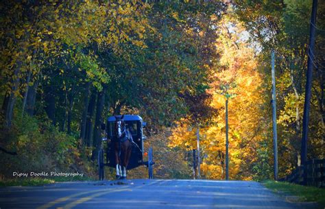 Description of Lancaster County Scenery