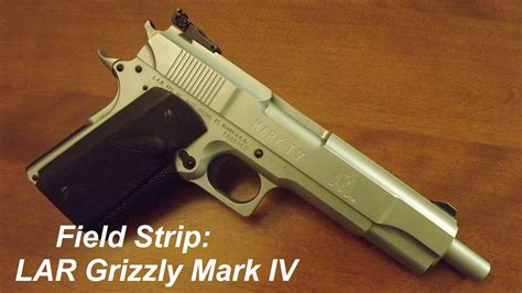 Safety Considerations for Lar Grizzly Mark IV