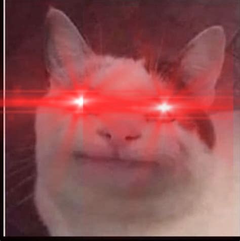 Laser Eyes Cat Meme