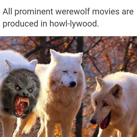 Laser Eyes Werewolf Meme