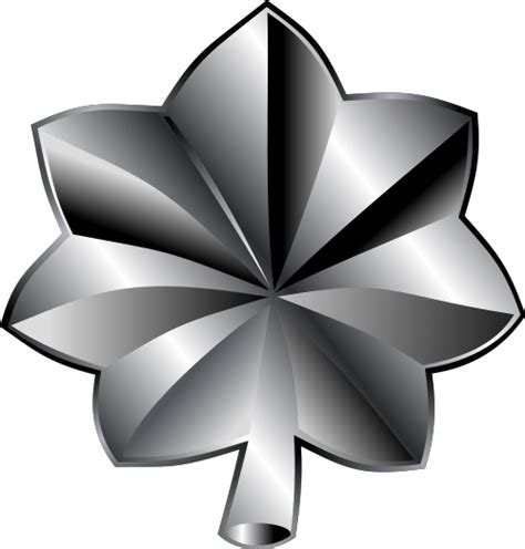 Lieutenant Colonel rank