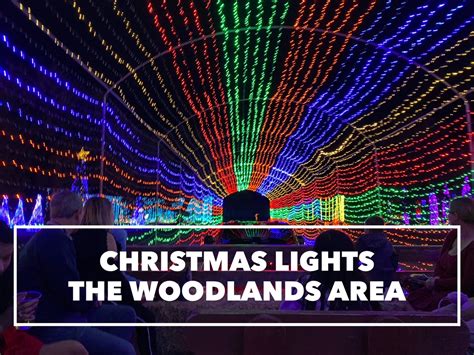 Live music performance at the Woodlands Lights Christmas event