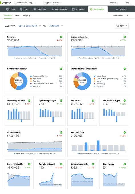 LivePlan Business Plan Template