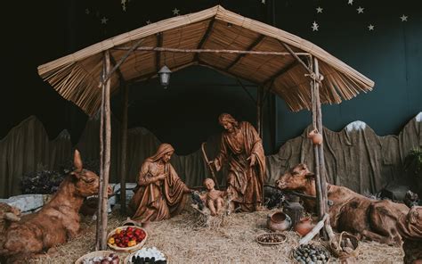 Living Nativity Scene with Animals