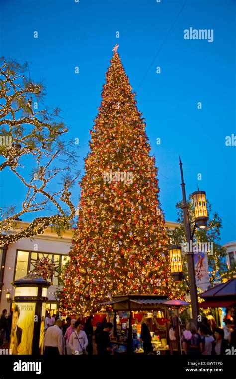 A variety of Christmas trees for sale in Los Angeles