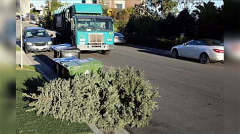 Christmas tree recycling in Los Angeles