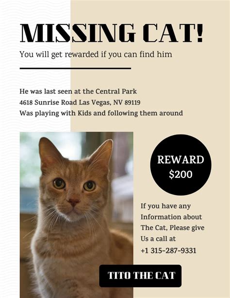 Lost Cat Flyer Template Download