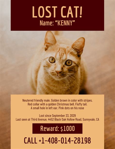 Lost Cat Flyer Template Download