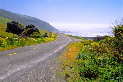 Fourth Lost Coast Obituary