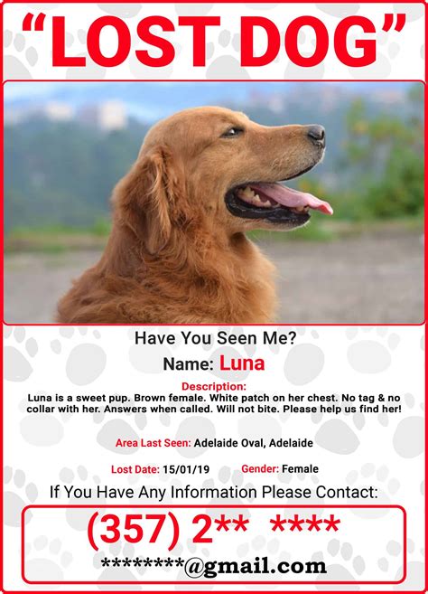 Example of a lost dog poster generated using an online tool