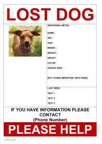 A lost dog poster