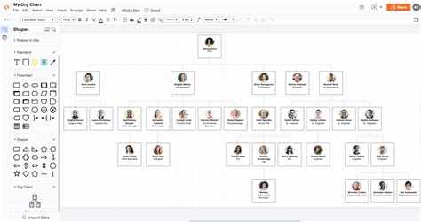 Lucidchart Organizational Chart Template