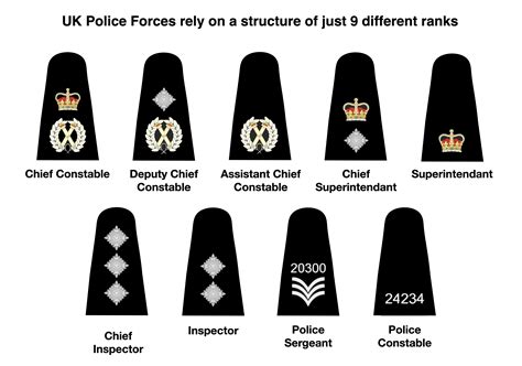 MP Rank Insignia