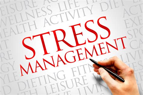 Managing Stress in Berthing