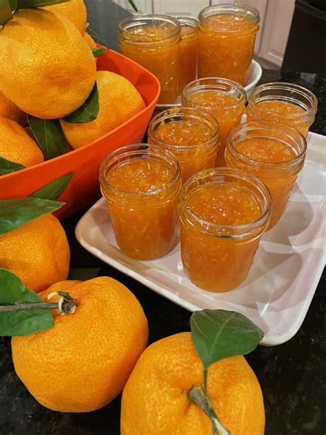 Mandarin Orange Marmalade