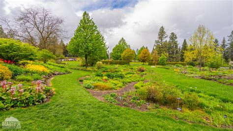 Manito Park and Botanical Gardens Christmas Lights