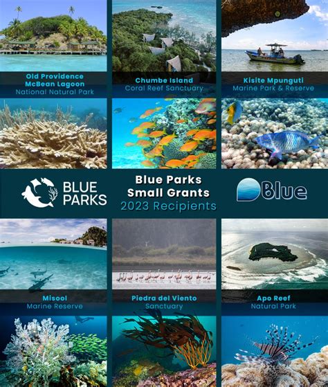 Marine Conservation