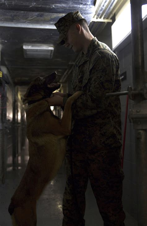 Marine Corps Dog Handler Explosive Detection