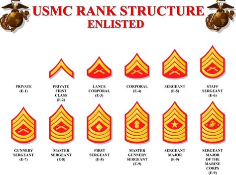 Marine Corps E1 Rank Insignia