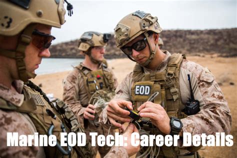 Marine Corps EOD team in training