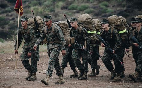 Marines in infantry training