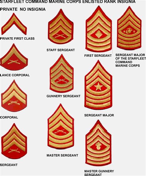 Marine Corps NCO Ranks Insignia