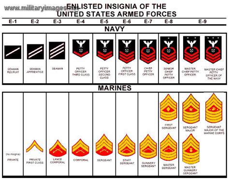 Marine Corps Navy Comparison